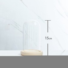 Glass Display Dome Bell Jar