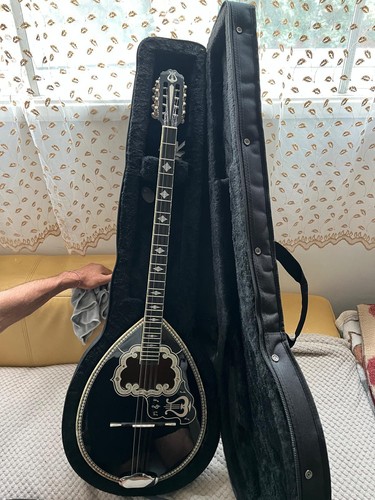 Greek bouzouki - greek,