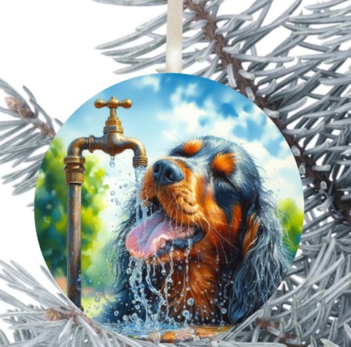 Gordon setter dog hanging - setter,
