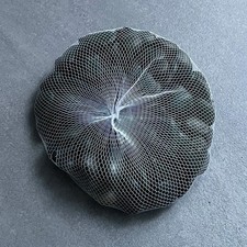 Natural Assorted Large River