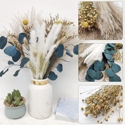 84pcs pampas grass - uk,