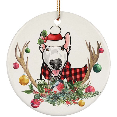 Cute bull terrier dog with - bull,