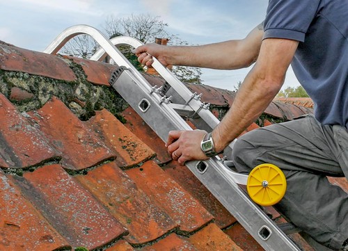 Extension ladder roof - ladder, hook