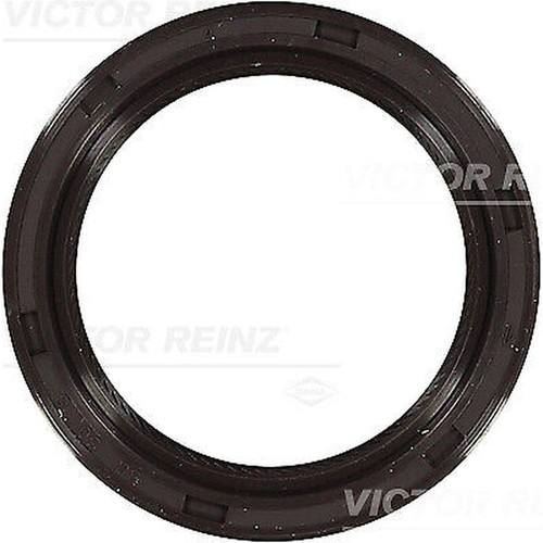53256 victor reinz - victor,