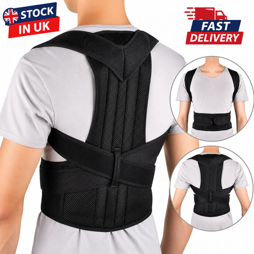 Back support belt - support,