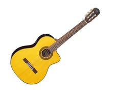 Takamine G Series GC5CE