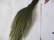 metz premium cock cape quarter