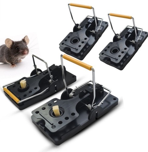 Large 4pack rat - 4pack,