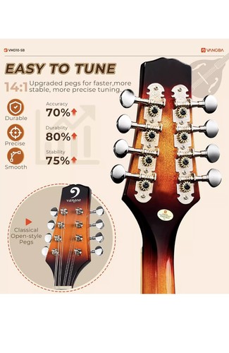 Vangoa mandolin instrument - mandolin, a