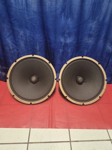 Alnico speaker smooth cone - 12",