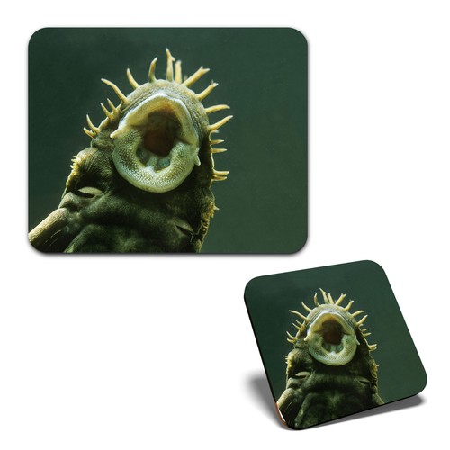 Mouse mat 1 square - 1, &