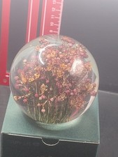 Boxed Hafod Grange 2000