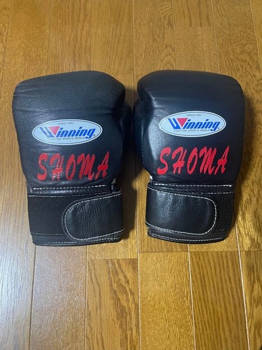 Winning boxing gloves black - winning,