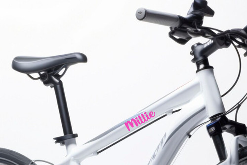 Personalised vinyl bike - 2x,
