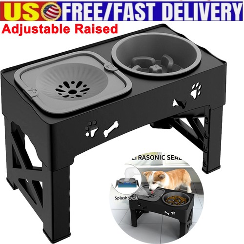 Elevated slow feeder dog - slow,