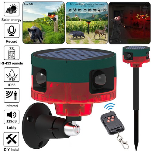 Solar power motion sensor - solar, 2
