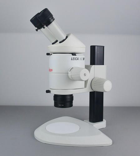 Professional leica microscope - professional,