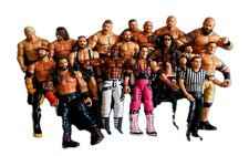 WWE Wrestling Action Figure