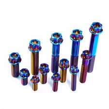 M6 M8 M10 Flange Titanium Head