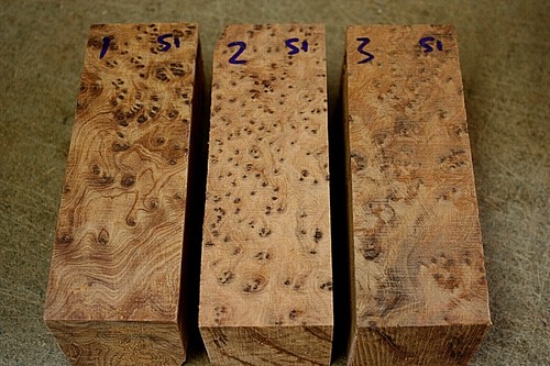 Thuya burl tool handle - tool, /