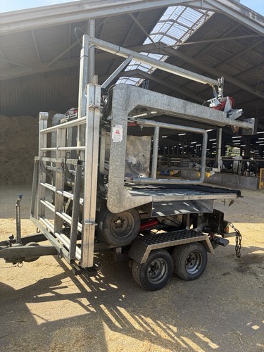Used cattle crush - used,