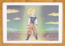 Dragon Ball Z Reproduction Cel