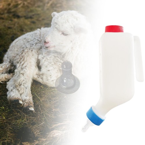 Sheep milk bottle - milk, feeding
