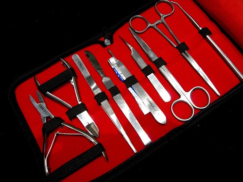 Stainless steel coral - stainless,