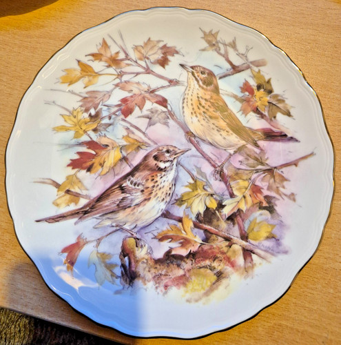 Royal albert collector plate - albert,