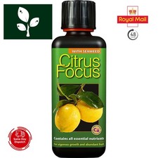 Growth Technology Citrus Focus