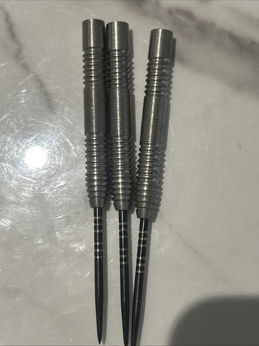 Raymond van barneveld - barneveld, unicorn