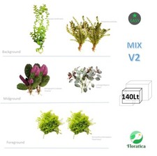 Mixed Bundle V2 140 Lt Live