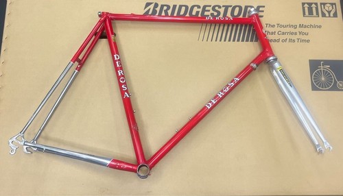 Rosa columbus slx steel - de,