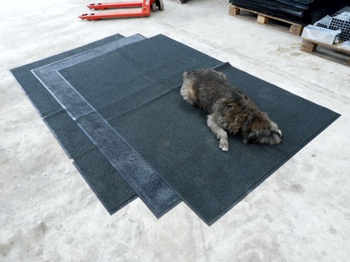 Dirt trapper floor mats - dirt,