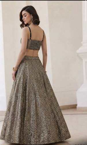 Elegent indo western - indo, lehenga
