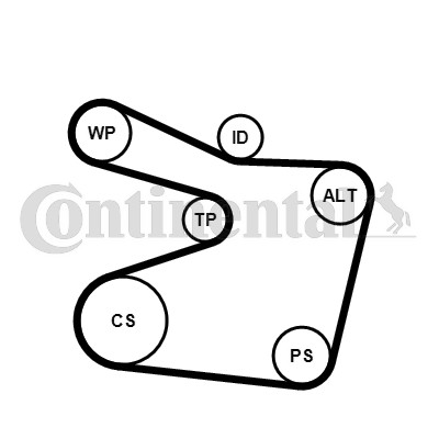 Continental ctam 6pk1555k1 - ctam,