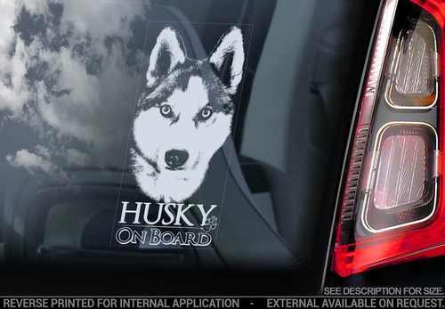 Husky car window sticker - car,