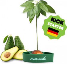 AvoSeedo Grow Your Own Avocado Tree Bowl Growing Kit Evergreen Plant Pot