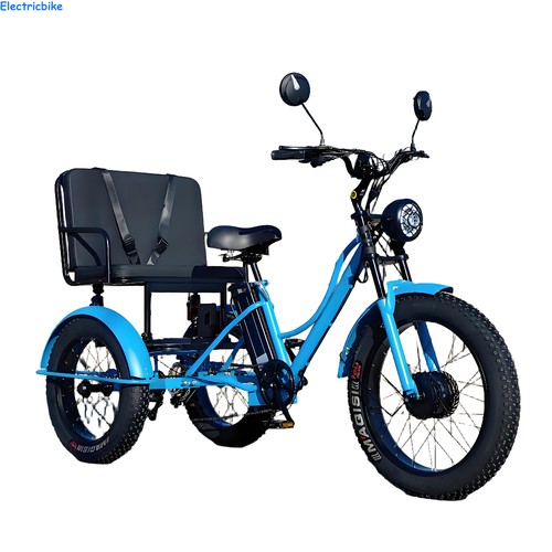 Electric trike 48v 18ah - 24",