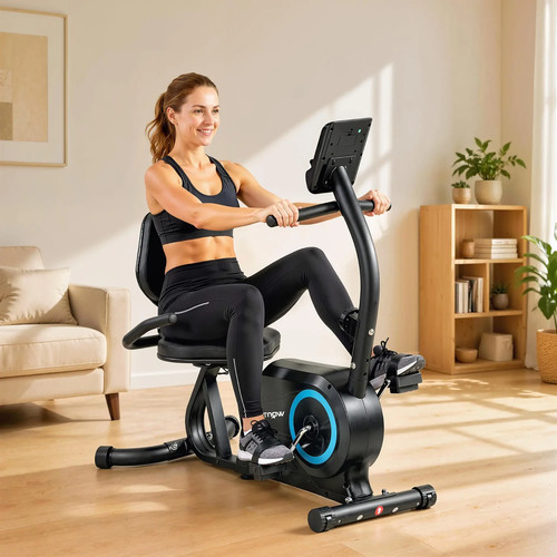 Recumbent exercise bike - recumbent,