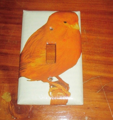 Classic red orange cinnamon - red,