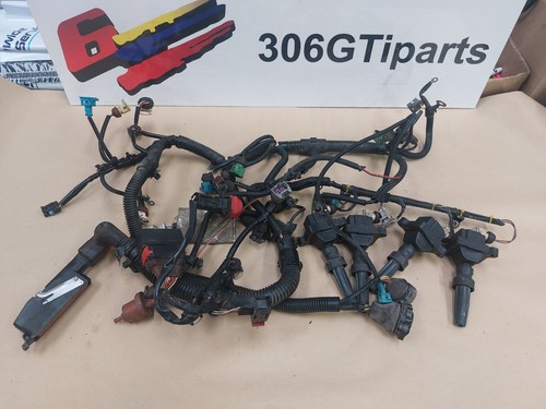 Peugeot 306 gti6 engine wiring - 306,