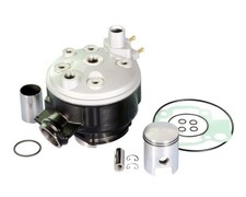 Cylinder Polini cast iron