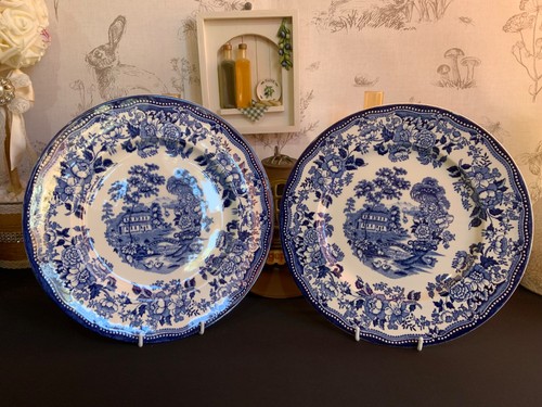 Vintage royal staffordshire - vintage,