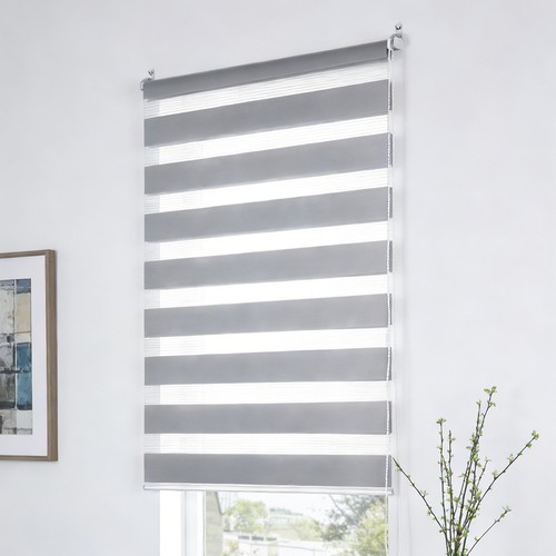 Zebra window roller blind - window, day