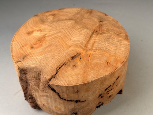Burr elm wood turning - burr, bowl