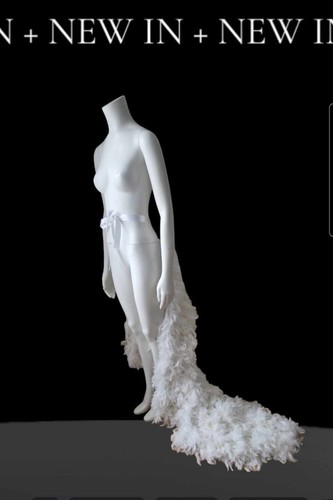 Floor length feather bustle - length,