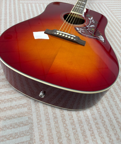 Hummingbird acoustic - hummingbird,