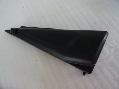Yamaha fzs 1000 - 1000, rn06