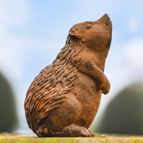 Miniature hedgehog garden - miniature,